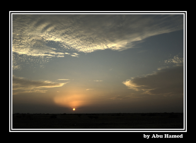 صور من ابداع اعضاء عمان فوتو