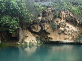 صور من ابداع اعضاء عمان فوتو