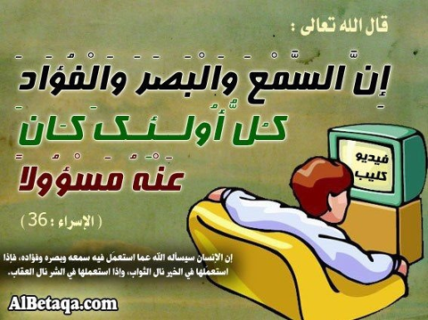 1812_10151376481306715_2044822353_n