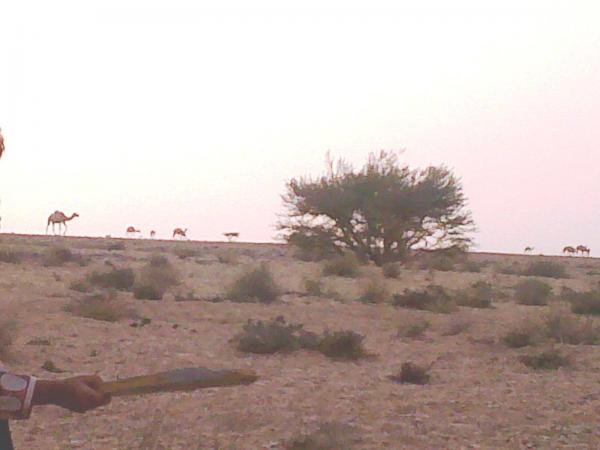 13072009137