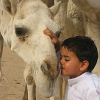 راعي الشاهينيه