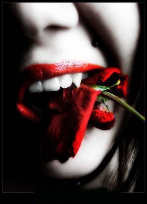 blood-rose