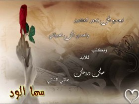25_sama_alwid