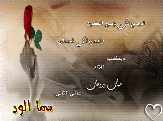 25_sama_alwid