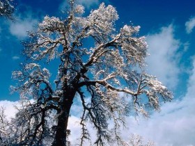 w6w20060429013114fd6c1287_1_