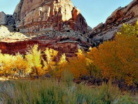 صور منوعة من الإنترنت