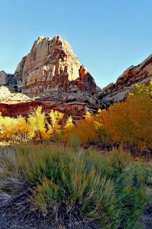 صور منوعة من الإنترنت