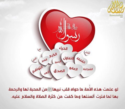 541494_10151419635943647_15169990_n