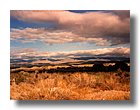 tnNature19-sooar_org