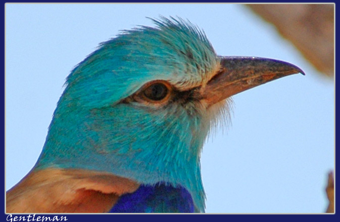 صور من ابداع اعضاء عمان فوتو