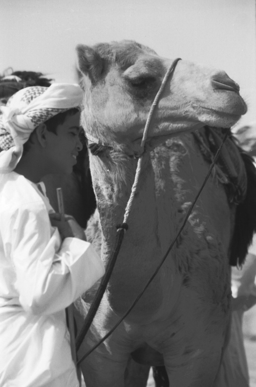 صور من ابداع اعضاء عمان فوتو