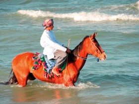 صور من ابداع اعضاء عمان فوتو