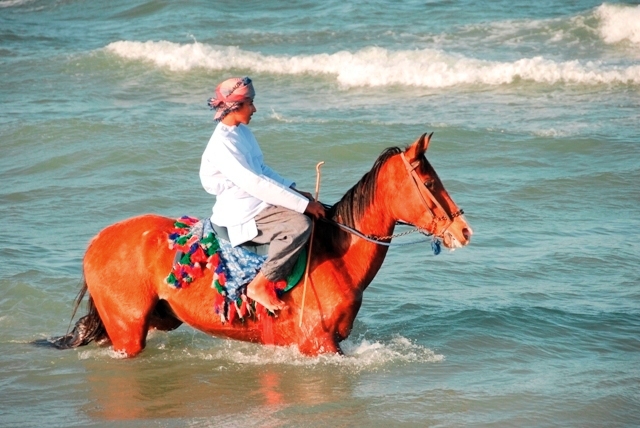 صور من ابداع اعضاء عمان فوتو