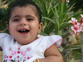 صور من ابداع اعضاء عمان فوتو