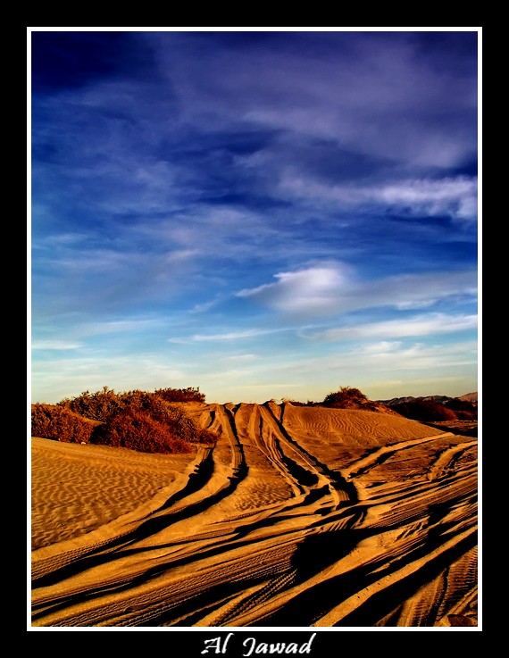 صور من ابداع اعضاء عمان فوتو