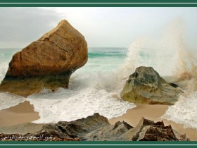 صور من ابداع اعضاء عمان فوتو