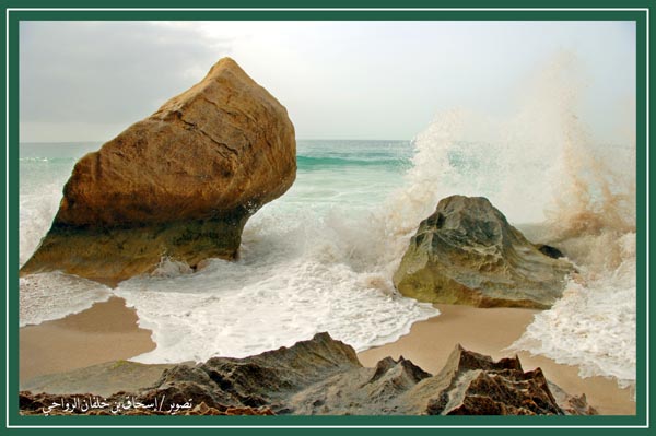 صور من ابداع اعضاء عمان فوتو