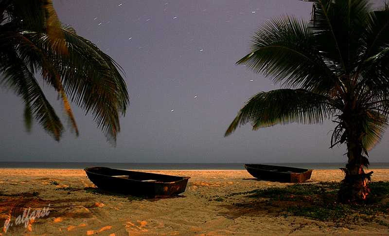 صور من ابداع اعضاء عمان فوتو