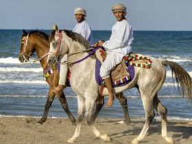 صور من ابداع اعضاء عمان فوتو