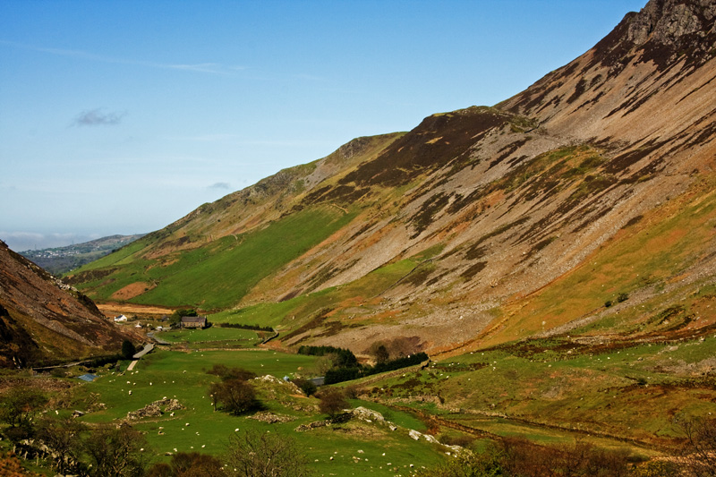 صور منوعة من الإنترنت