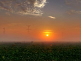 صور منوعة من الإنترنت
