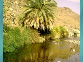 صور من ابداع اعضاء عمان فوتو