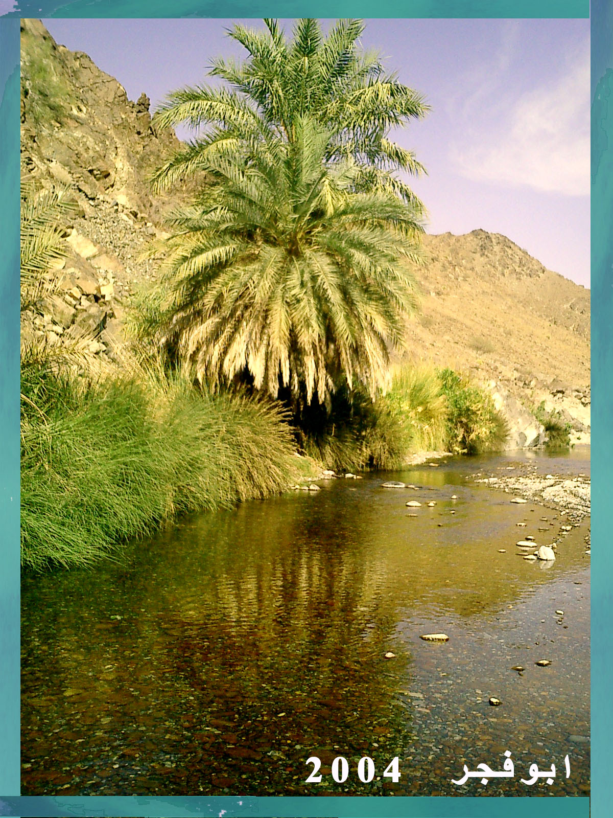 صور من ابداع اعضاء عمان فوتو