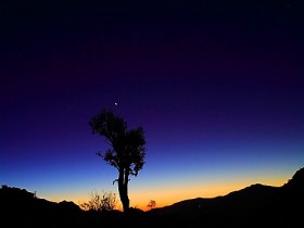 صور من ابداع اعضاء عمان فوتو
