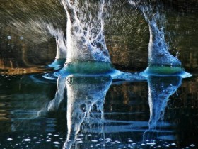 صور منوعة من الإنترنت