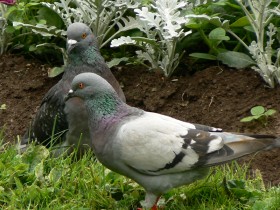 صور منوعة من الإنترنت