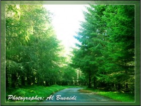 inverness6