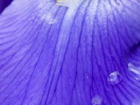 1578223-1647745a2dcb13db_1_