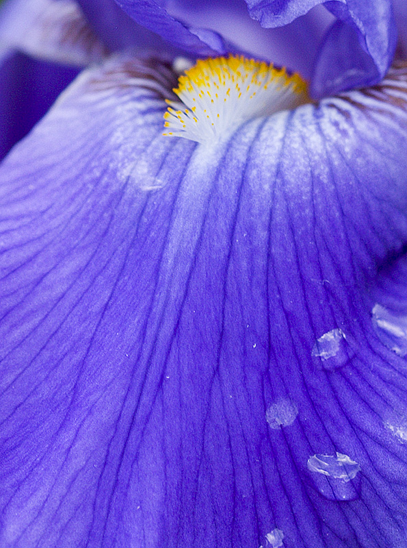 1578223-1647745a2dcb13db_1_