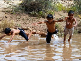 صور من ابداع اعضاء عمان فوتو