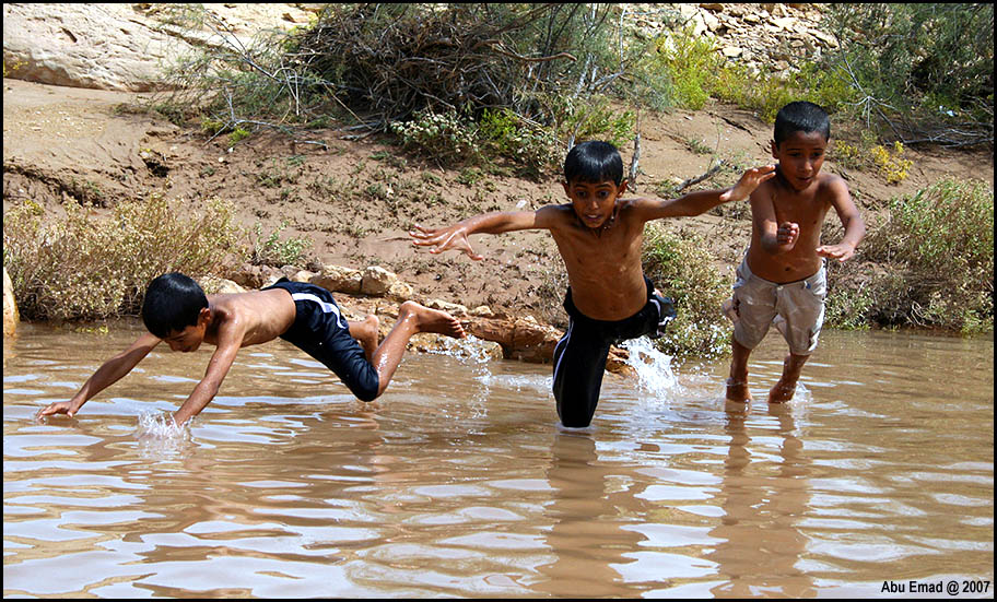صور من ابداع اعضاء عمان فوتو