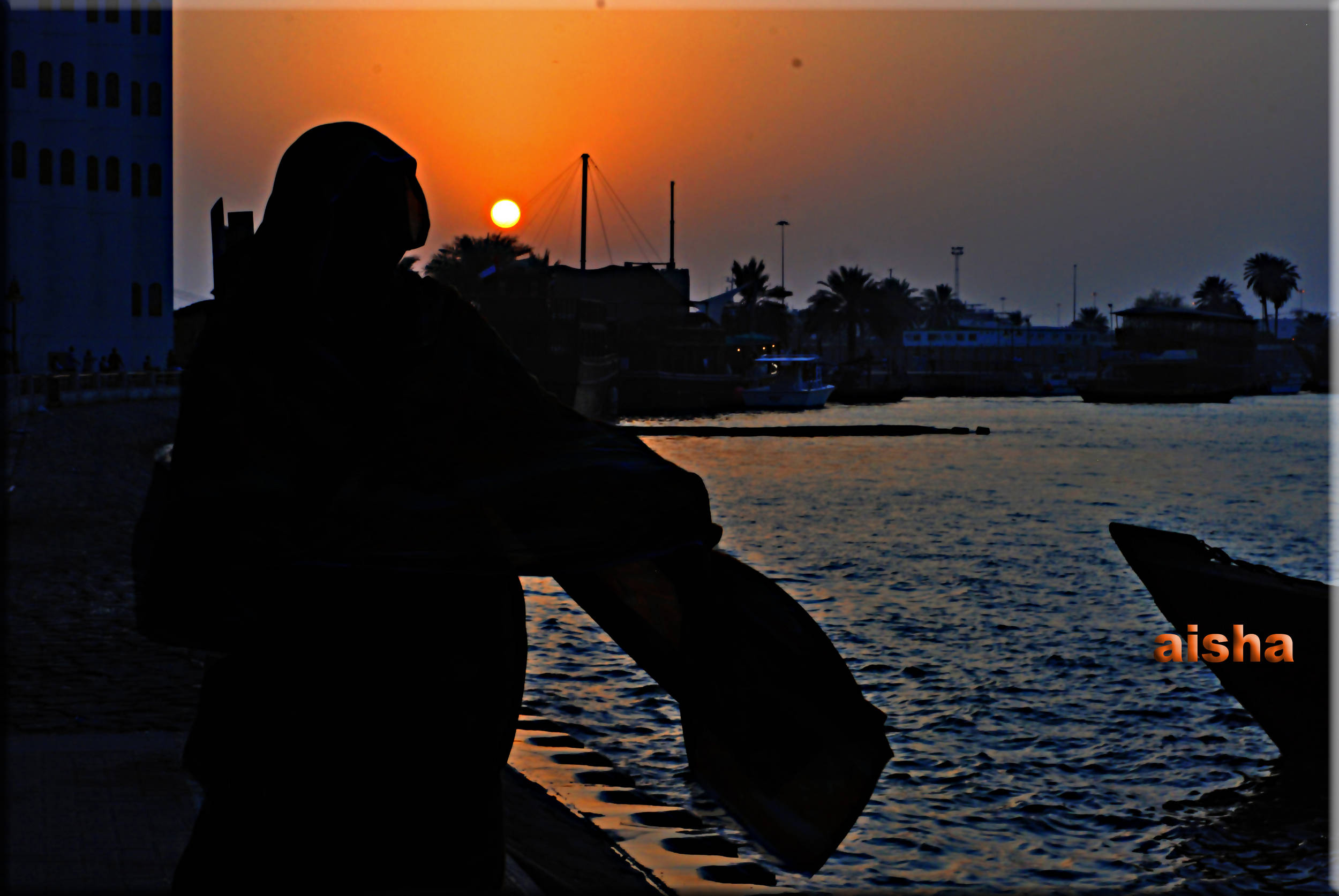 صور من ابداع اعضاء عمان فوتو