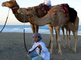 صور من ابداع اعضاء عمان فوتو