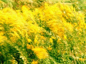 صور منوعة من الإنترنت