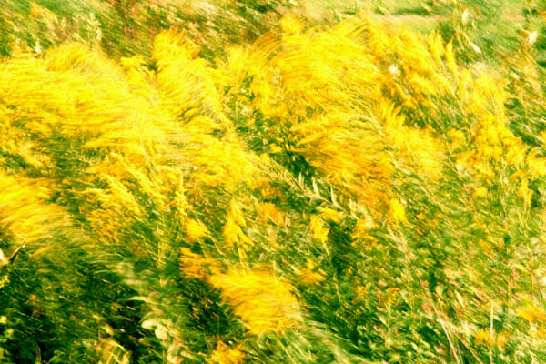 صور منوعة من الإنترنت