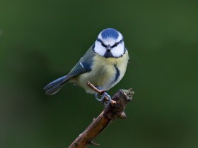 صور منوعة من الإنترنت