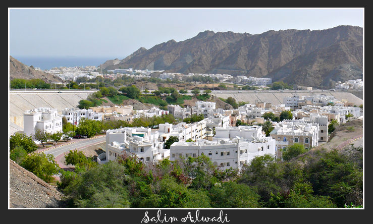 صور من ابداع اعضاء عمان فوتو