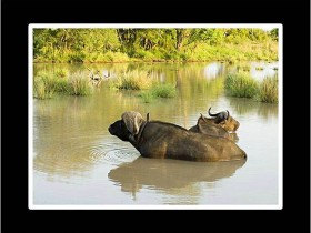 صور من ابداع اعضاء عمان فوتو