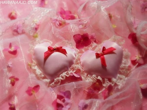 LOVE 15[1]