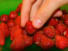 1541081-781a6812c5ee3f4d_2_