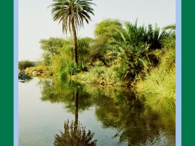 صور من ابداع اعضاء عمان فوتو