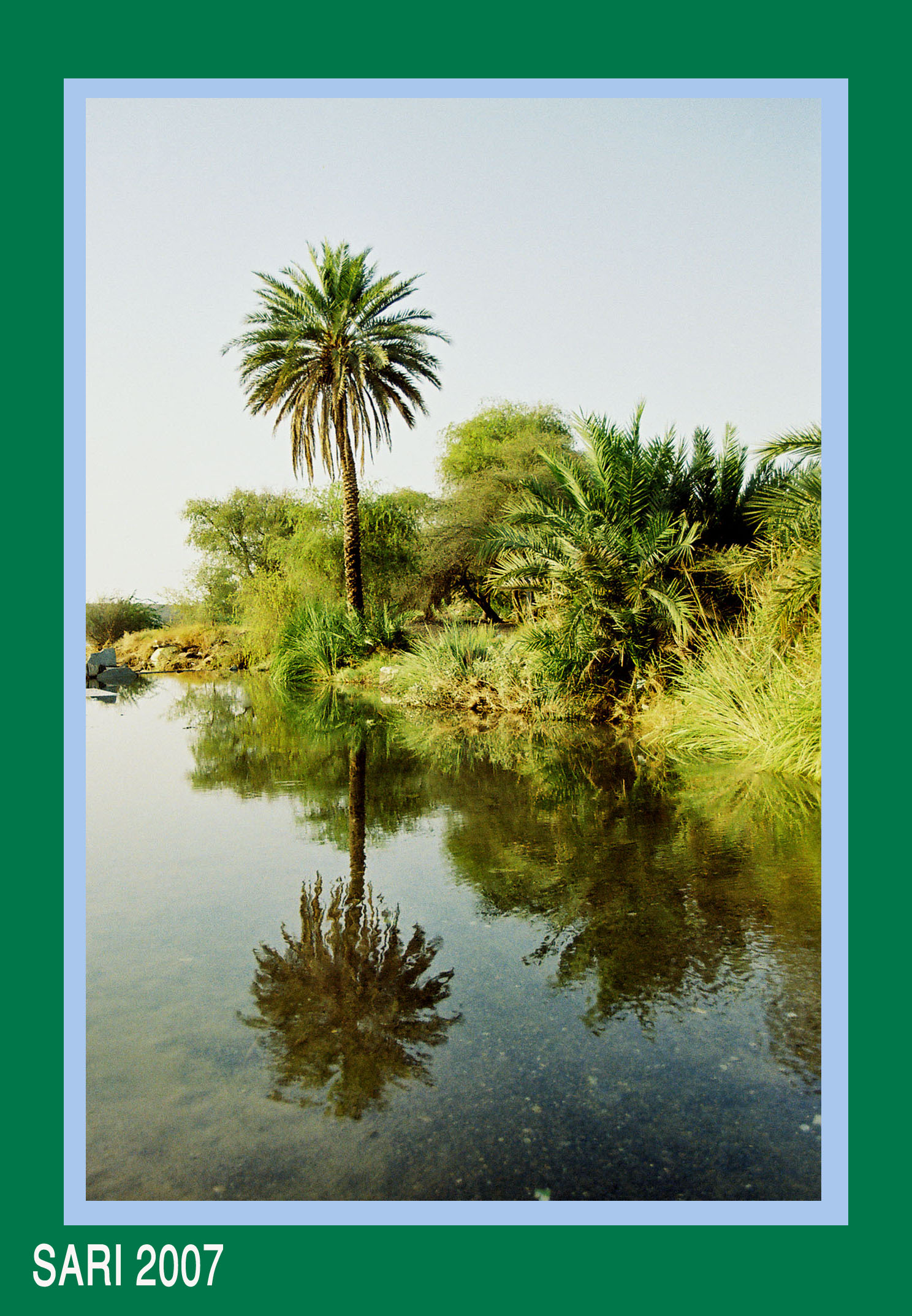 صور من ابداع اعضاء عمان فوتو