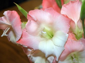 1564521-52a780b392026dc3_2_