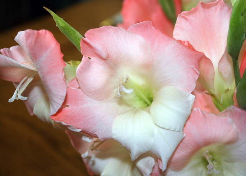 1564521-52a780b392026dc3_2_