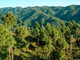 w6w2006042901311438cca136_1_