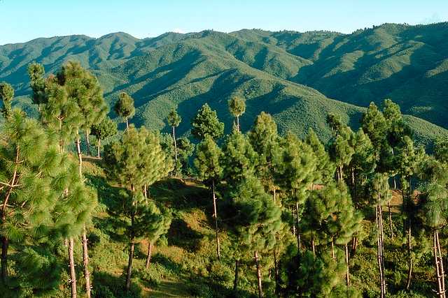 w6w2006042901311438cca136_1_